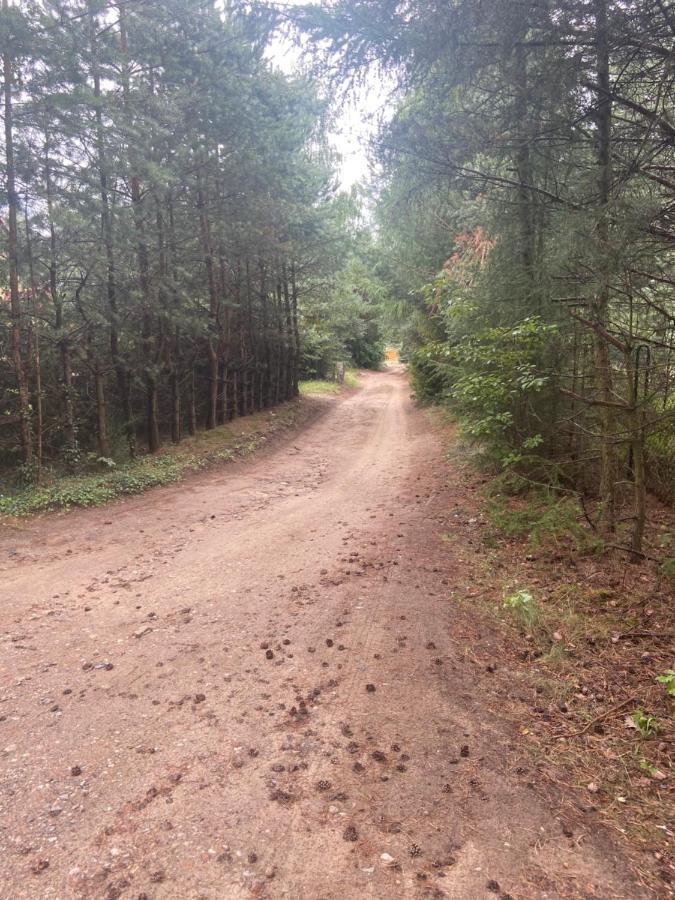 Domek Nad Jeziorem Kamien 2A Kowalewo Esterno foto